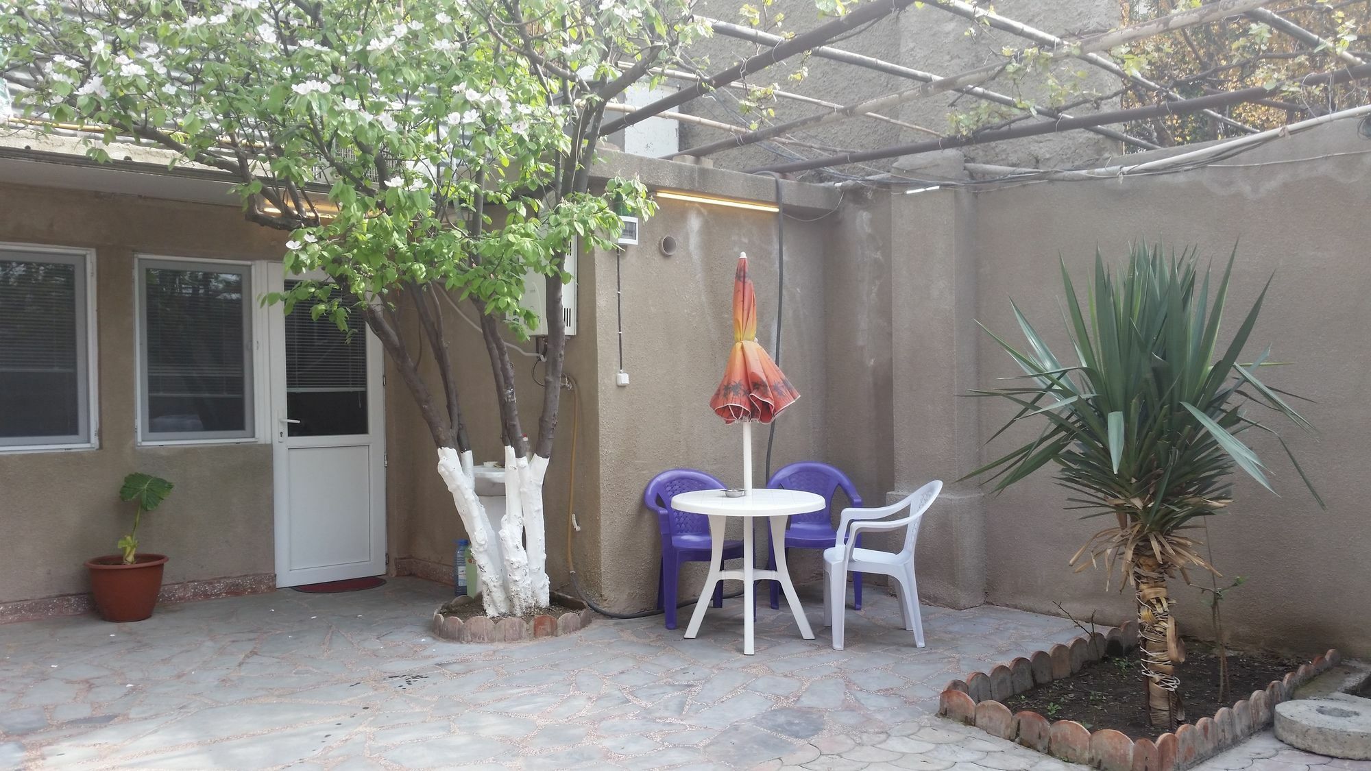 Guest House Spartak 第比利斯 外观 照片